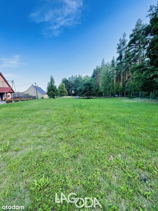 Na sprzedaż działka budowlana przy lesie - Kłodawa
