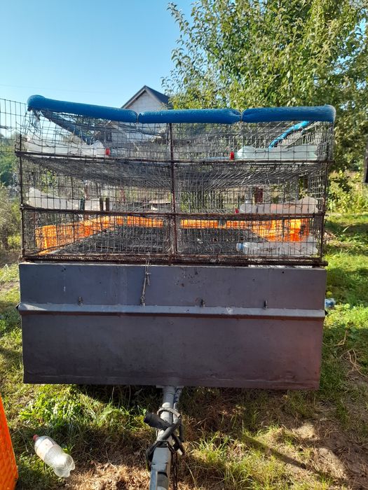 Продам причіп з кліткою дя перевезення курей.