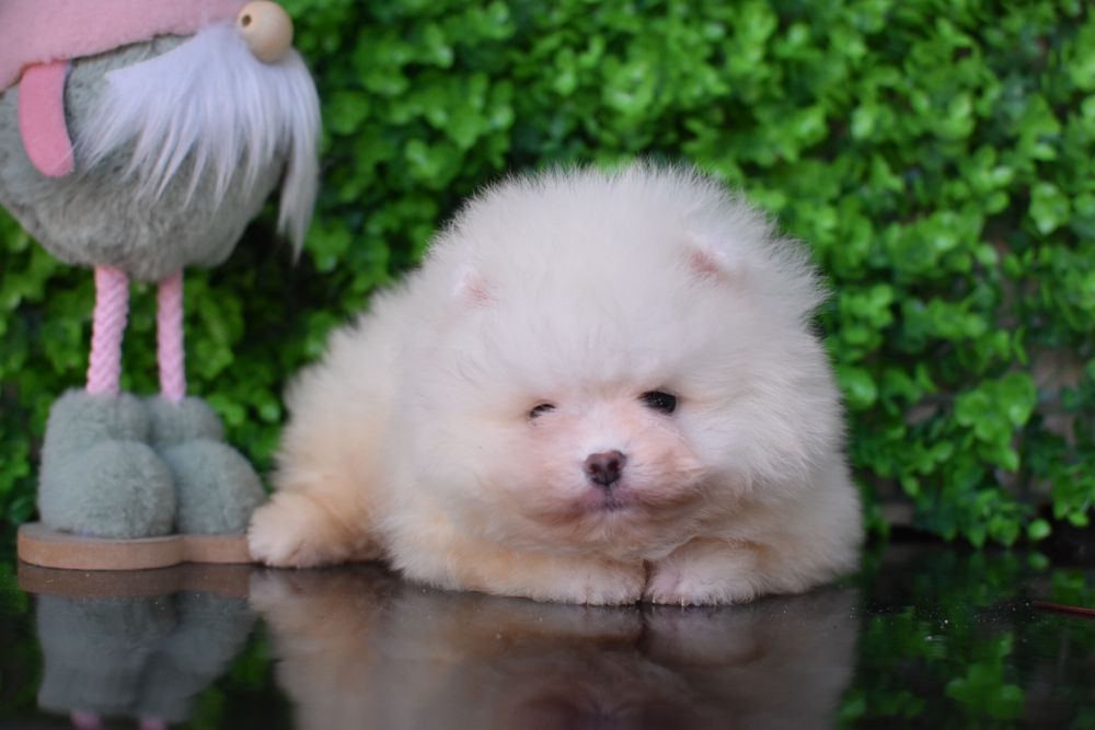 Файний хлопчик