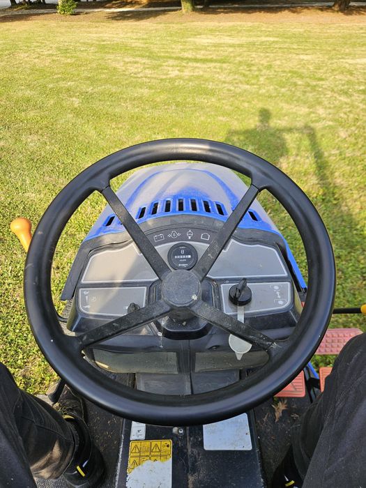 Corte de arvores e limpeza de terrenos