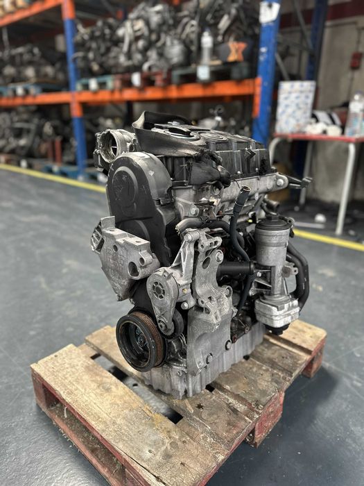 Motor VW/Audi/Skoda 1.9 TDI 105cv BLS