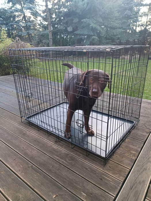 *NOWA Klatka dla psa zwierząt duża, kennel, samochodu, z tacą/podłogą