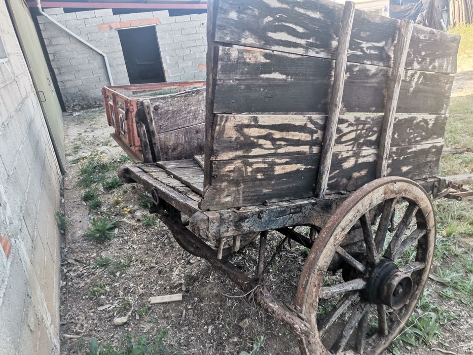 Carroça para burros ou cavalos