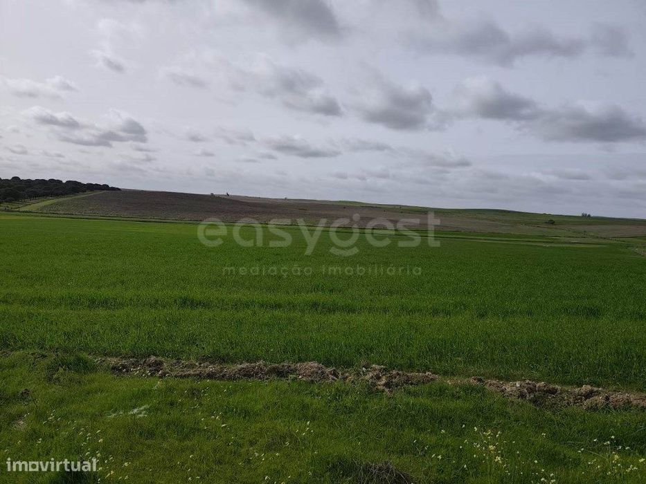 Terreno Rústico com área total de 93.875 m2, localizado na freguesi... — Aljustrel E Rio De Moinhos, Beja