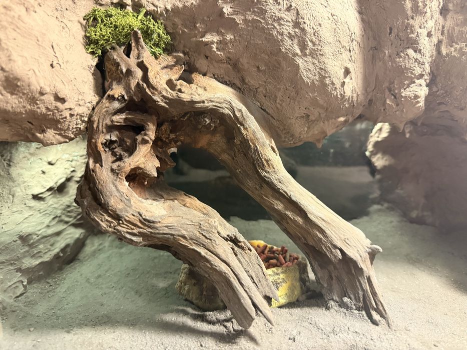 Customowe ścianki do terrarium na zamówienie