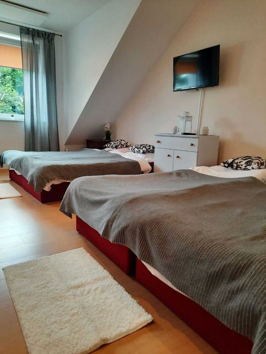 Pokoje do wynajęcia