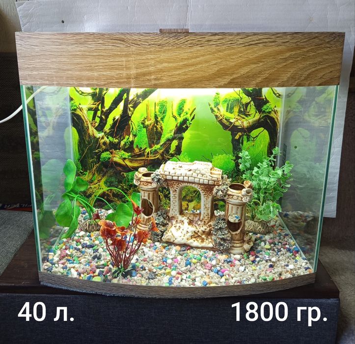 Аквариумы на любой вкус