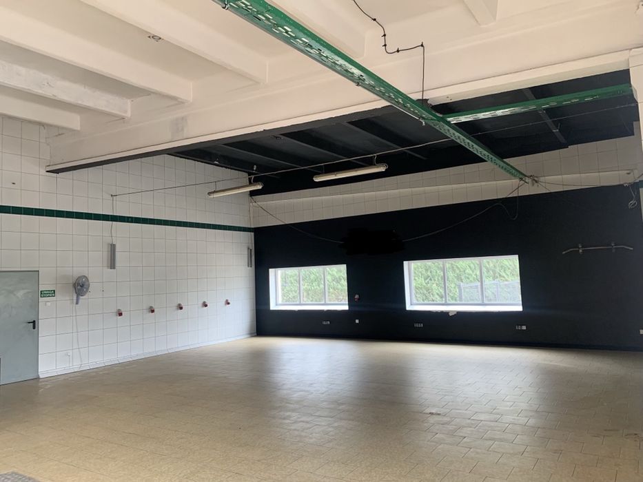 Wynajmę lokal w Iławie