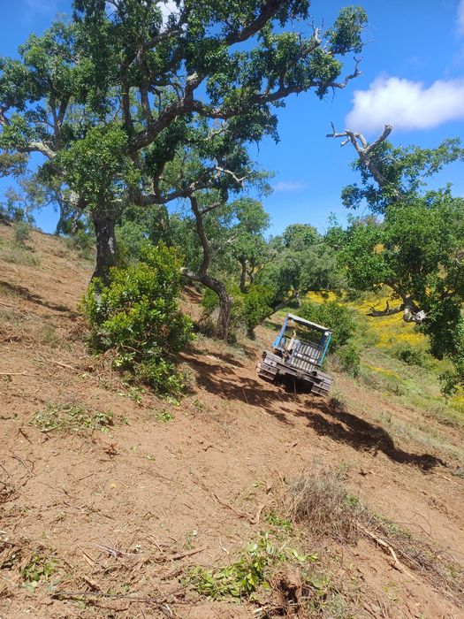 Limpeza de terrenos com corta-mato