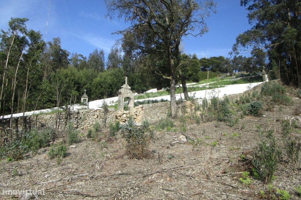 Terreno misto com 13.800 M2 em Guilhabreu V do Conde -Porto