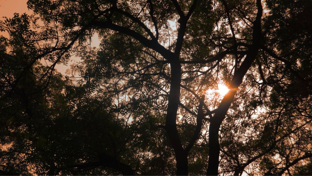 Sony Cyber-shot WX50 стан ідеал