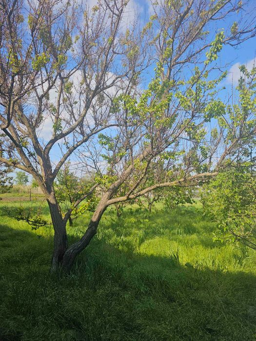 (13) Продам новий 2-поверховий будинок в с. Барабой