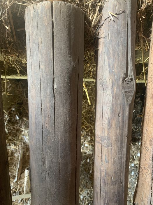 Steple sztuk50 dlugie na 3 30 cm za 20 zl jeden