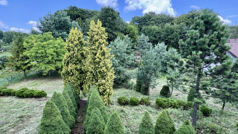 DZIAŁKA 5100 m² Z DOMKIEM | Żelazko K. Ogrodzieńca I JURA 790 000 zł - Widok 3