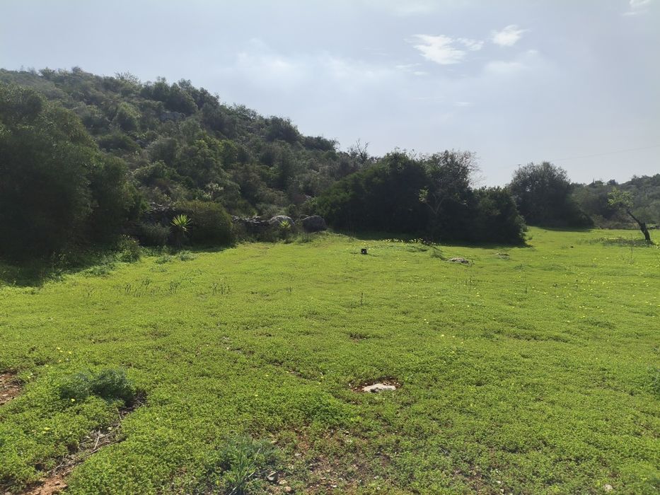 Vendo terreno agrícola Moncarapacho