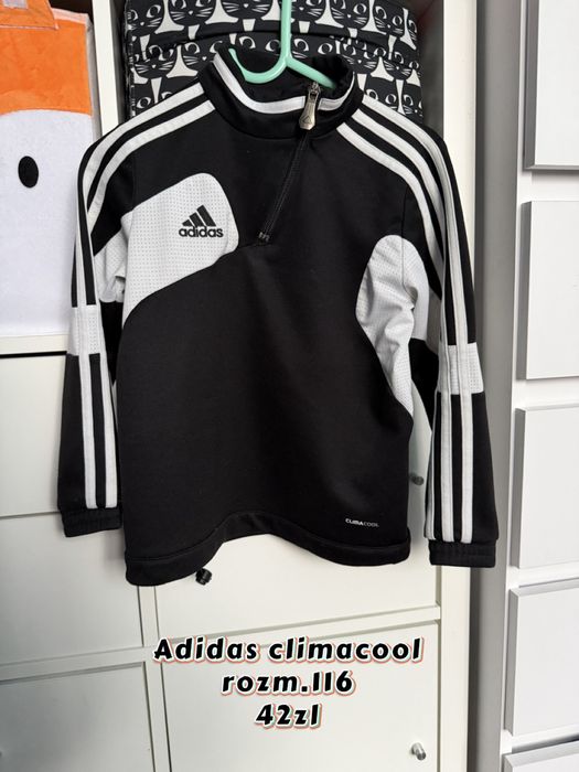 Bluza adidas climacool