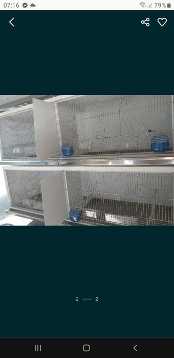 Viveiros para aves