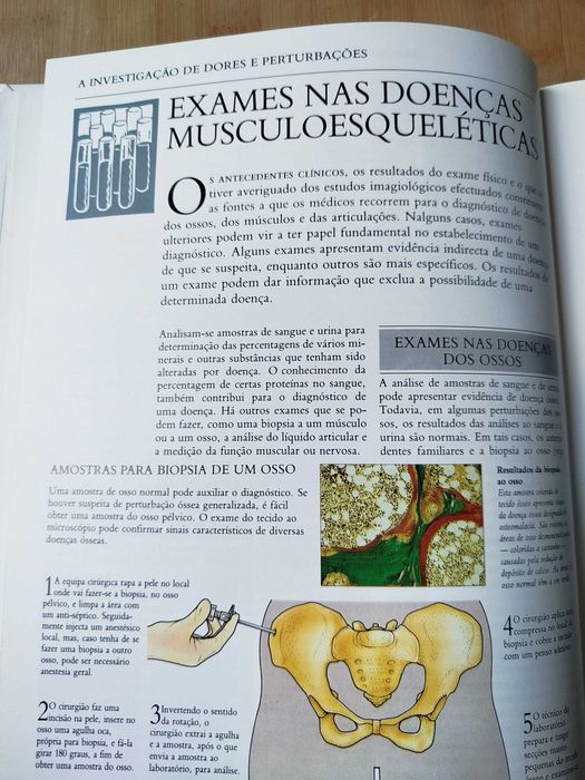 Ossos, Músculos e Articulações Biblioteca Médica da Família