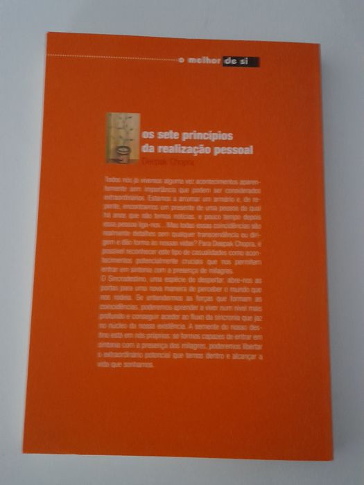 Livro os sete princípios da realização pessoal