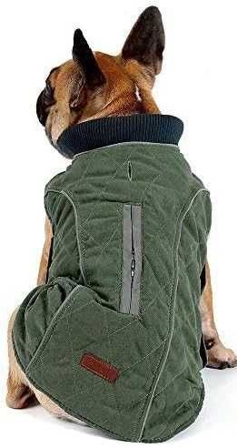 DOGLEMI Kurteczka Ciemno Zielona M