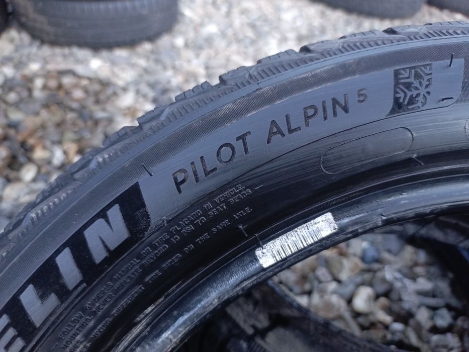 205.55.17 Michelin Pilot Alpin 2 шт