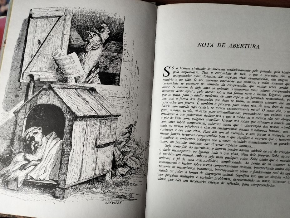 Livro O Mundo Maravilhoso dos Animais
