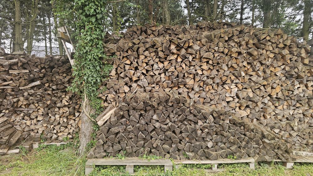 Drewno opałowe dębowe