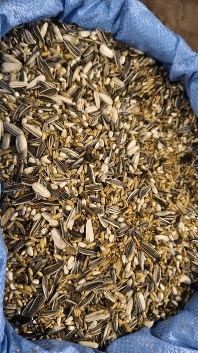 Mieszanka dla papug falistych, średnich dużych i innych worki 20 kg