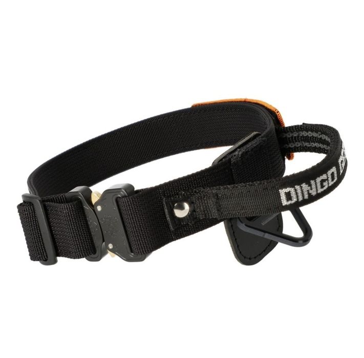 Obroża Dingo Gear