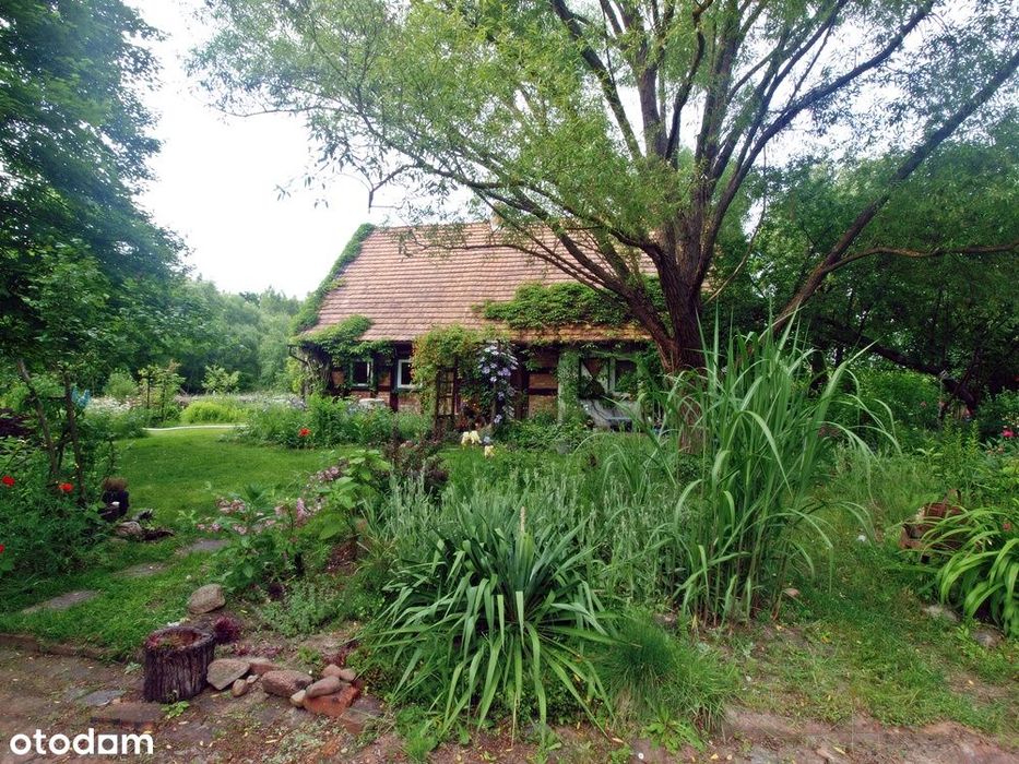 Gniewoszyce Dom w ładnej okolicy z dużą działką