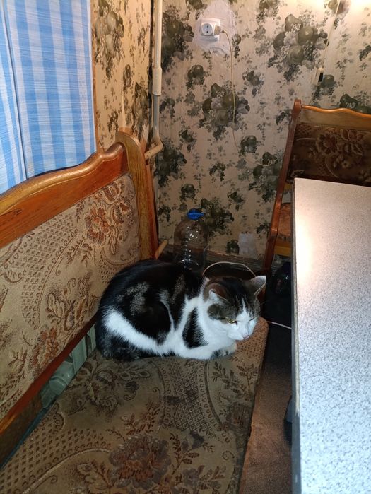 Сдаётся 2 - х комнатная квартира на Василя Стуса .(Черёмушки)