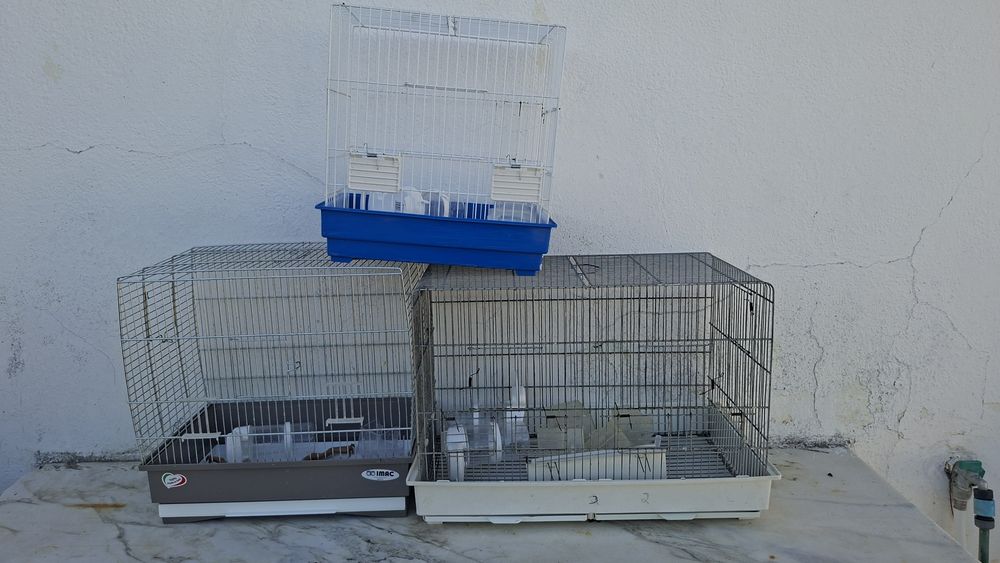 Gaiolas para Aves