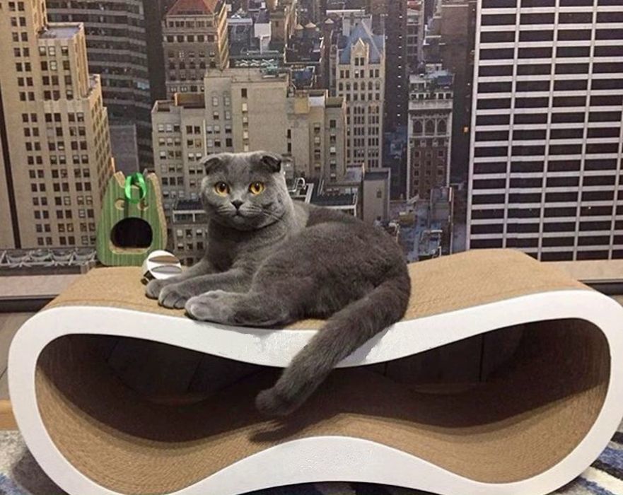 Дряпка, когтеточка из картона, лежанка когтедралка, когтеточилка.