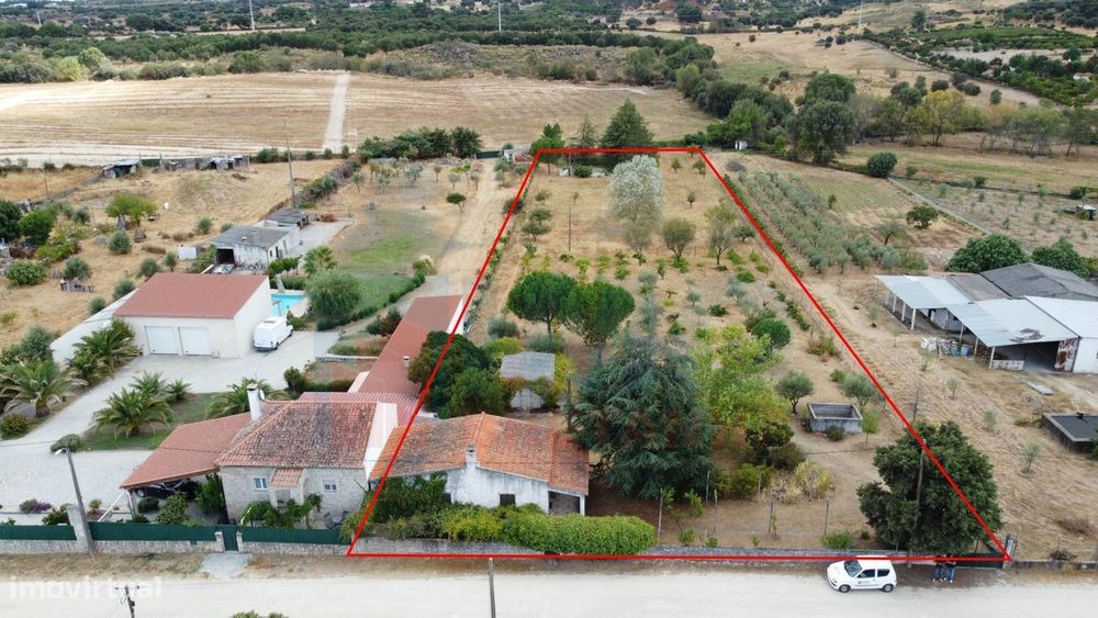 Quinta em Alvarcões  - Castelo Branco