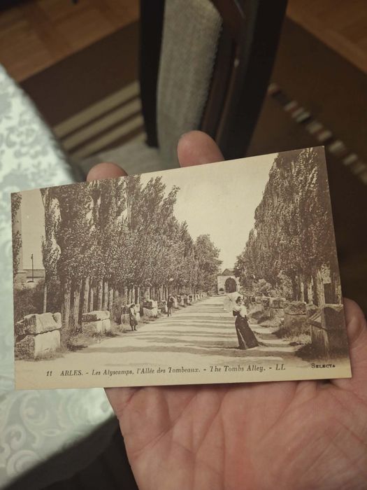 Pocztówka z początku XXw."Allée des Tombeaux"w Arles.Stan bardzo dobry.