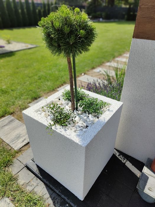 Donice ze  styropianu Termo