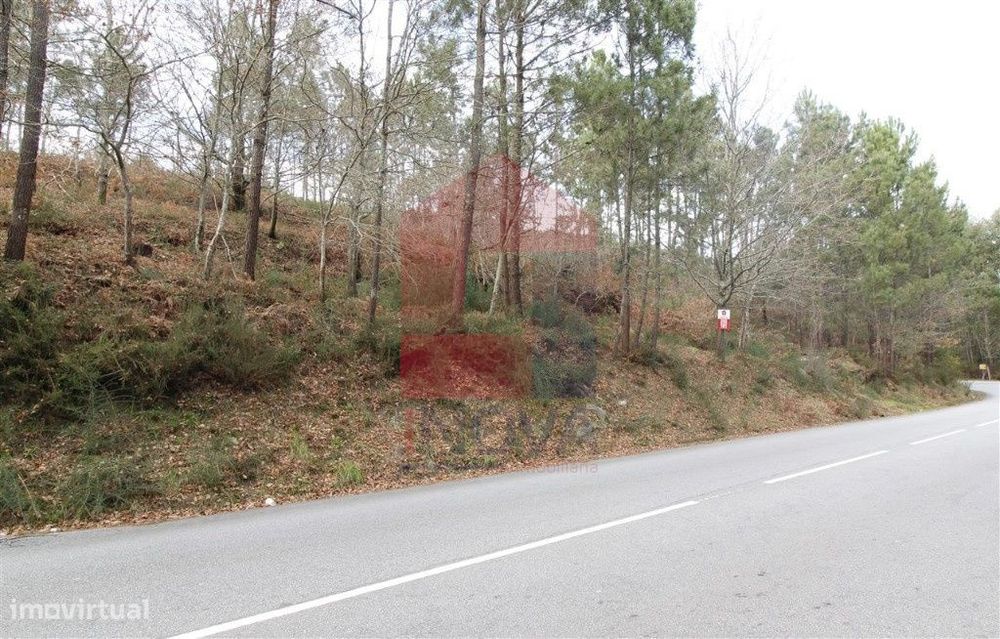 Terreno agrícola, Ponte — Coucieiro, Braga