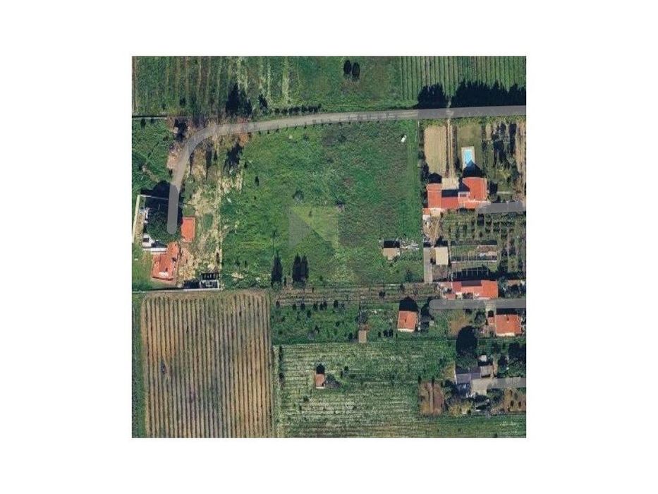 Lote De Terreno Com 6000M2 - Entre Pinhal Novo E Palmela