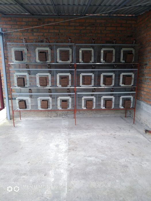 Клітка для кролів, нутрій