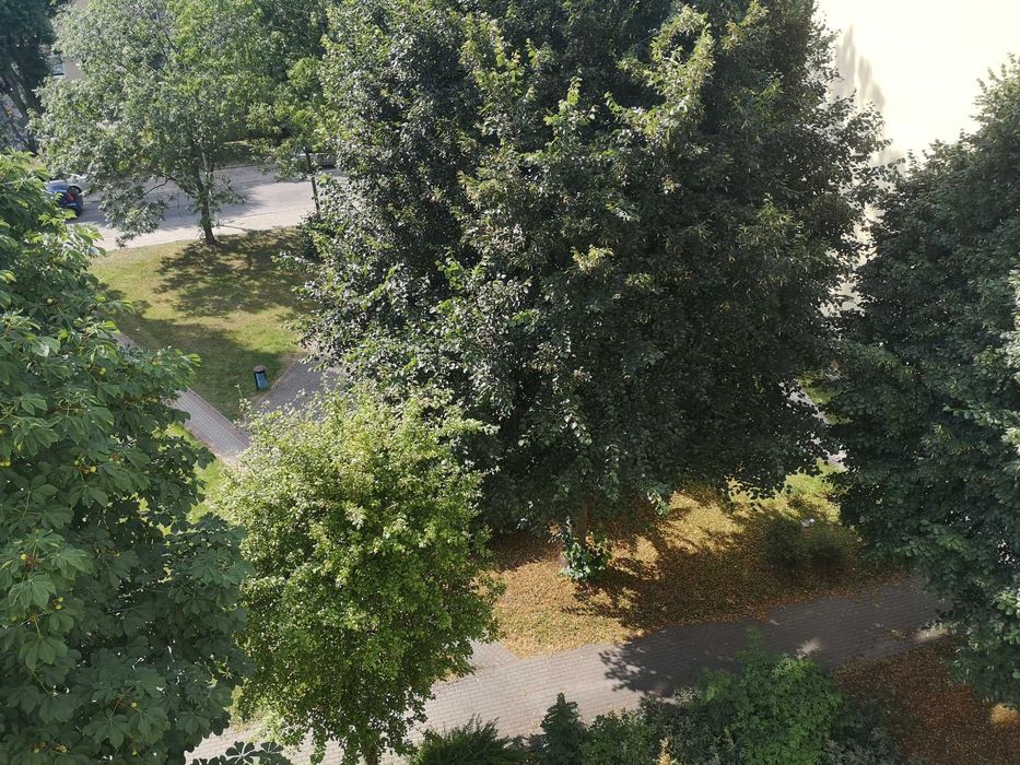Wynajmę mieszkanie 2 pokojowe Słupsk ul Koszalińska