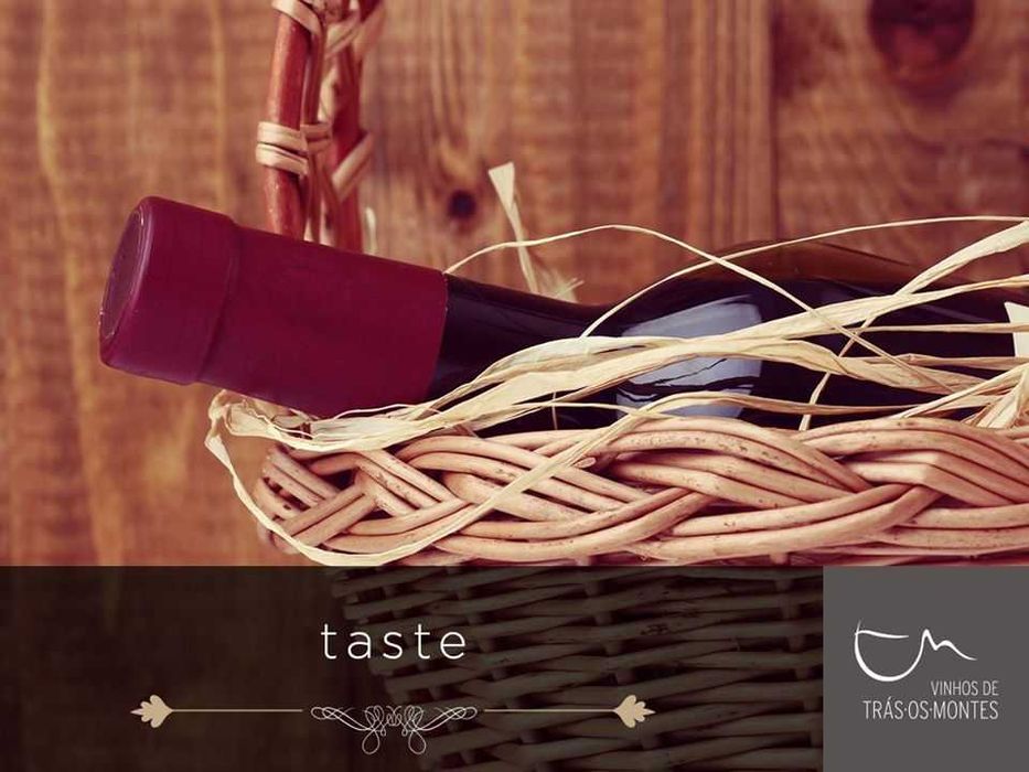 Agência de marketing digital online