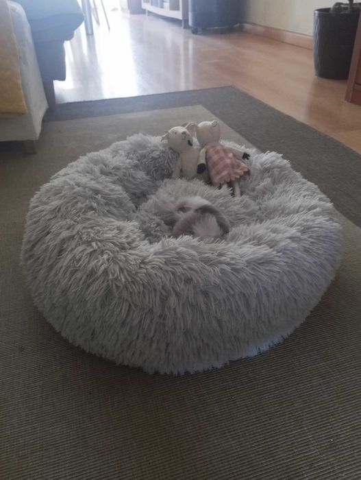 Cama de gato ou cão pequeno, nova!