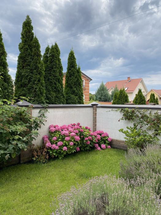 оренда будинку на Осокорках, БЕЗ КОМІСІЇ