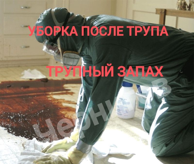 ‼️ТРУПНЫЙ ЗАПАХ Клінінг Прибирання після Смерті Трупу Озонирование