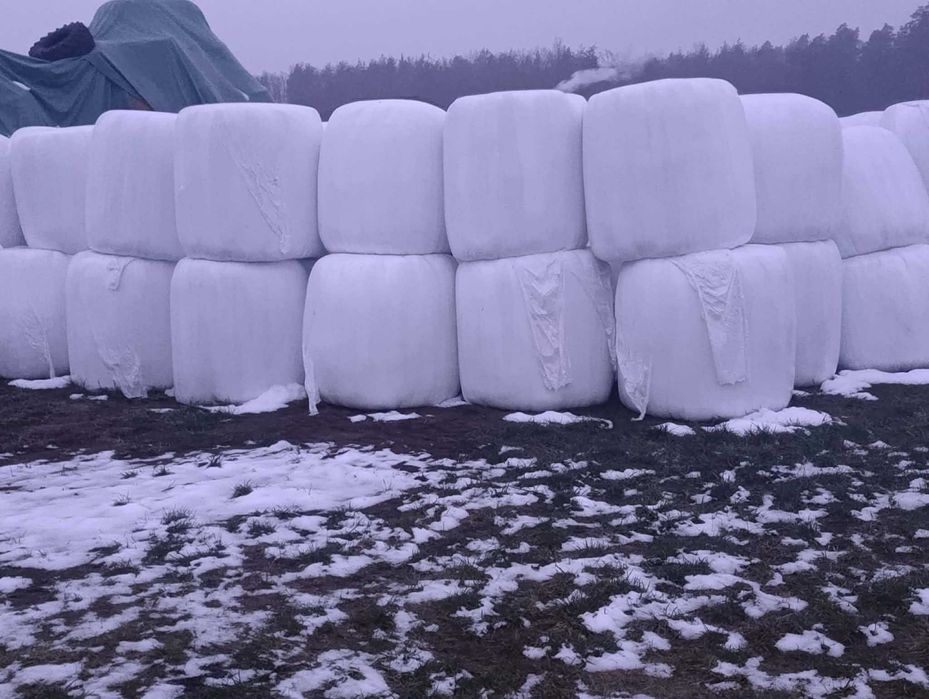 Bele sianokiszonki baloty