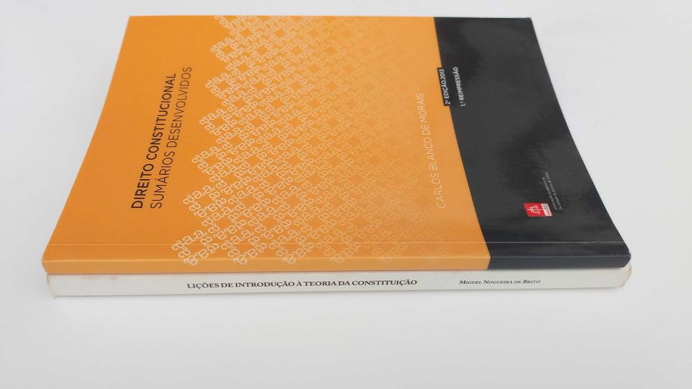 Direito Constitucional Sumários Desenvolvidos