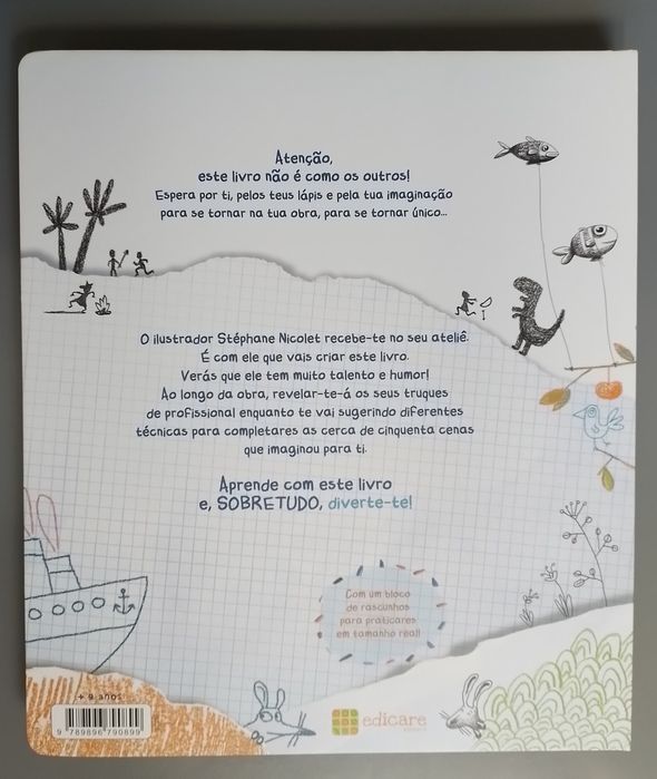 Desenha o Teu Livro de Stephane Nicolet