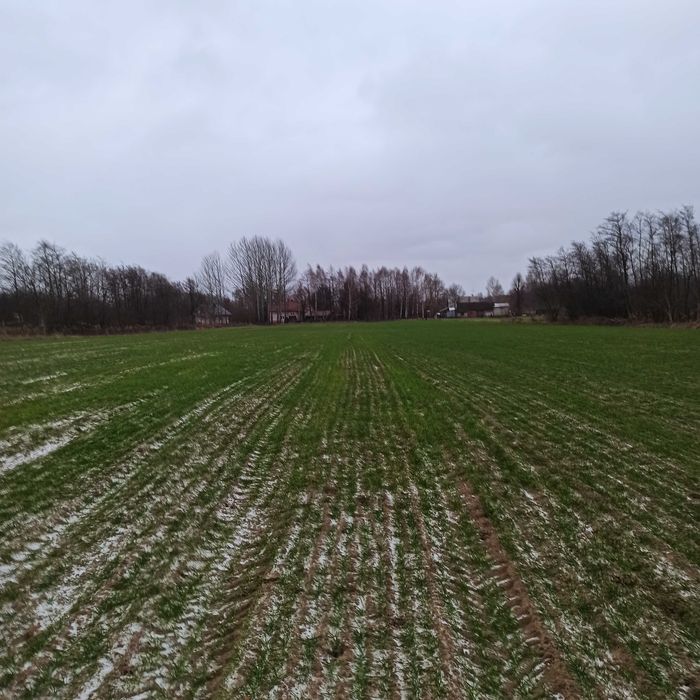 Pole orne 1,32 ha. Głuchów gm. Łańcut
