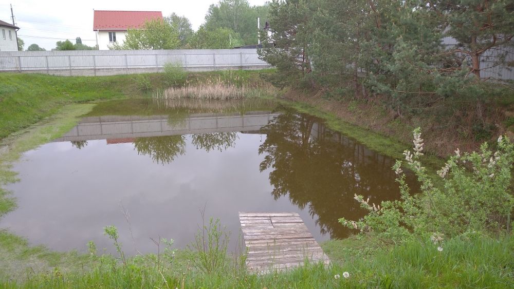 Літній будинок з озером. Дударків. Бориспільський район.