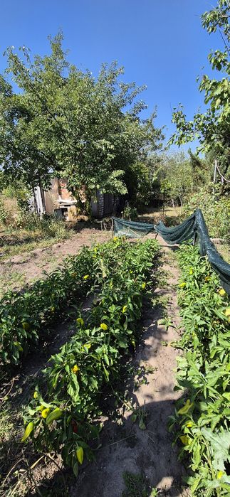 Продаж дачі Піщанка